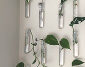 Magnetic Propagation Tubes, Easy to Hang Anywhere, Propagation Station, Prop tubes for Clippings