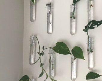 Magnetic Propagation Tubes, Easy to Hang, Propagation Station, Plant Clippings, Plant Propagation, Floating Propagation, Water Propagation