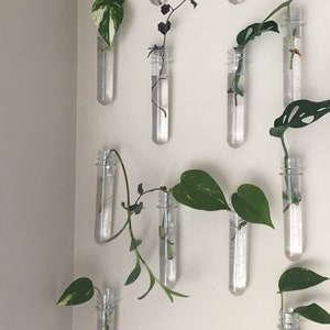 Magnetic Propagation Tubes, Easy to Hang, Propagation Station, Plant Clippings, Plant Propagation, Floating Propagation, Water Propagation