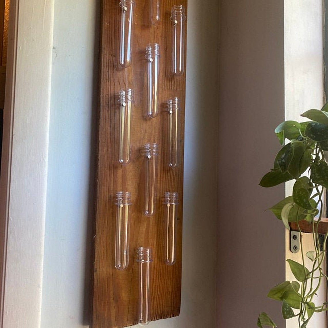 Propagation Tubes Easy to Hang Propagation Station Etsy