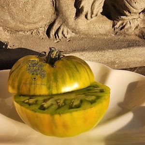 Jarson 7 GWR Tomatfrön