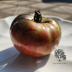 May include: A large, ripe tomato with a green, red, and brown striped pattern. The tomato is sitting on a white plate.