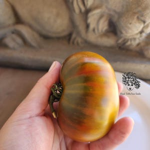 May include: A ripe, heirloom tomato with a mix of green, orange, and brown hues. The tomato is held in a hand, showcasing its unique color variations. The text "Head ToMaToes Seeds" is visible in the image.