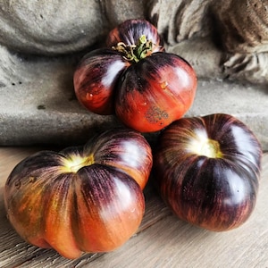 Stek wołowy Starfighter Marsha&#39;s Tomato