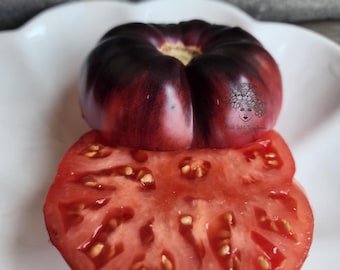 Love of Mystery Tomato Seeds