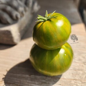 Könnte beinhalten: Zwei grüne Tomaten, die übereinander gestapelt sind. Die Tomaten haben gelbe Streifen und sind leicht deformiert.