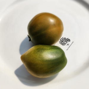 Dwarf Ochre Heart Tomato Seeds