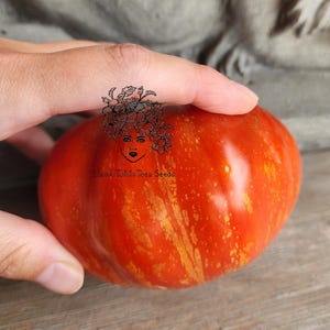 Strawberry Leopard Tomato Seeds