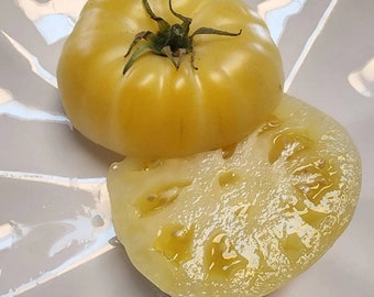 Weiße Königin Tomate