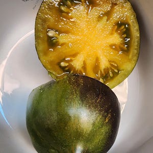 Sofie Ochre Veil Tomatensamen