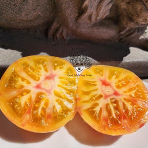 Confetti Dwarf Tomato Seeds