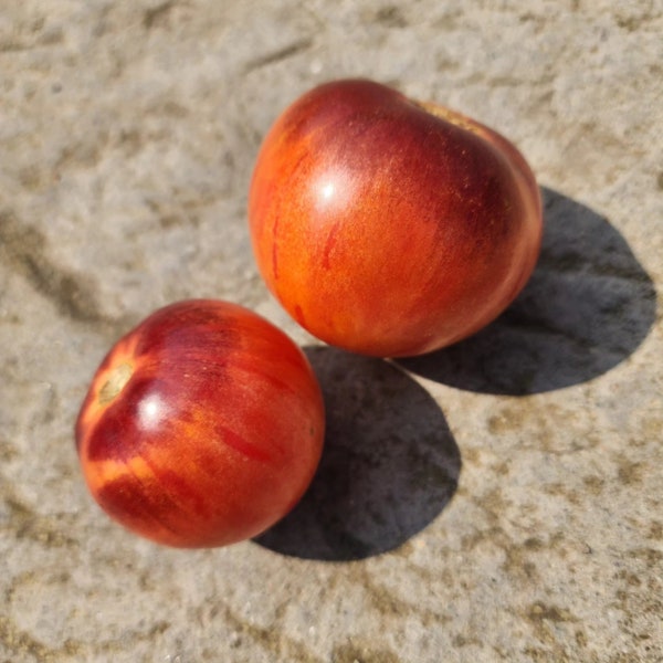 Pomme D'Or De Saint Jean De Beauregard Tomato Seeds