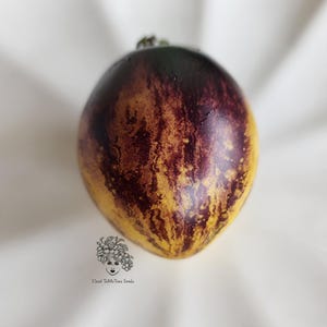 Rebel Starfighter Kayleigh Anne Tomato Seeds