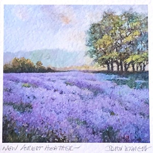 Heather, New Forest, Hampshire. Fine Art Print. Hand Signed/Mounted/Framed. Professionally Printed