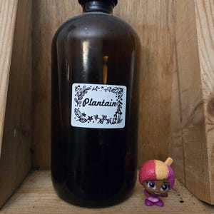 Plantain Tincture (100% Natural)