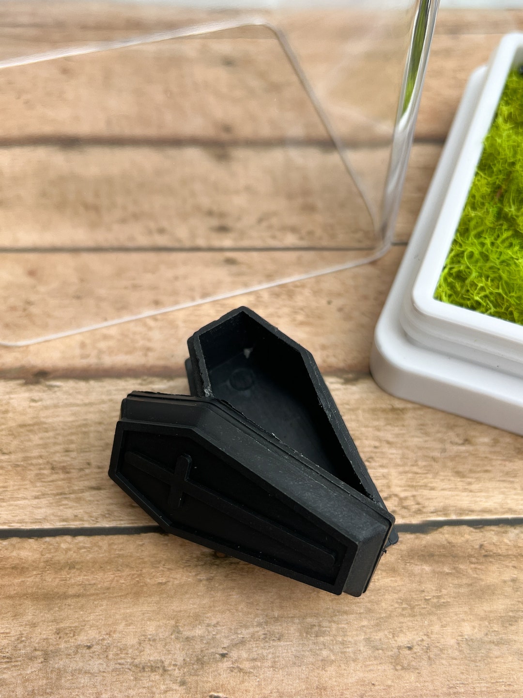 Coffin Hide Jumping Spider Hide Spider Hide Arachnid Etsy