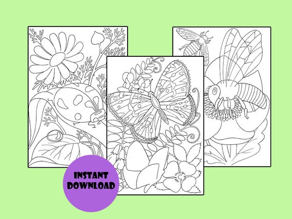 Printable Coloring Pages Insects 7 Coloring Pages Pdf Digital - Etsy