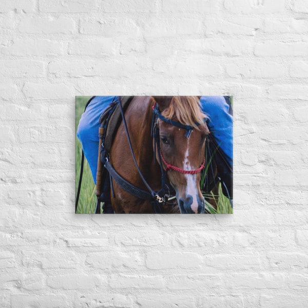 Saltwater Cowboy Ponyswim 2019 - Chincoteague Island Event Artwork, Horse Enthusiast Wall Decor, Memorable Gift for Pony Lovers