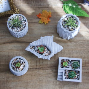 Molde creativo para maceta para flores, baratija de hormigón, molde para plato, maceta para plantas suculentas, contenedor de yeso, artesanía Nórdica