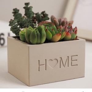 以下が含まれることがあります： 前面に「HOME」という文字がエンボス加工されたベージュのコンクリート製のプランターで、「O」の代わりにハートが使用されています。プランターには、緑と赤の品種を含むさまざまな多肉植物が植えられています。