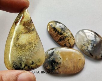 Tiger Dendrit Edelstein Lot, Natürliche Cabochons (4 Stück)
