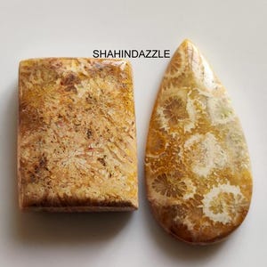 Könnte beinhalten: Zwei polierte Fossilkorallen-Cabochons mit dem Text SHAHINDAZZLE darüber. Ein Stein ist rechteckig mit einem beigen und braunen Blumenmuster, während der andere tropfenförmig ist und eine ähnliche komplizierte organische Fossiltextur aufweist.