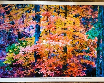 Photo de feuillage d'automne, Caroline du Sud