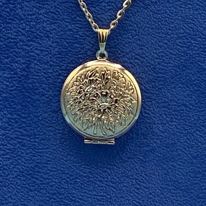 Pale Gold Rund Foto Locket mit detailliertem Daisy Design mit Pale Gold Halskette Bild 8