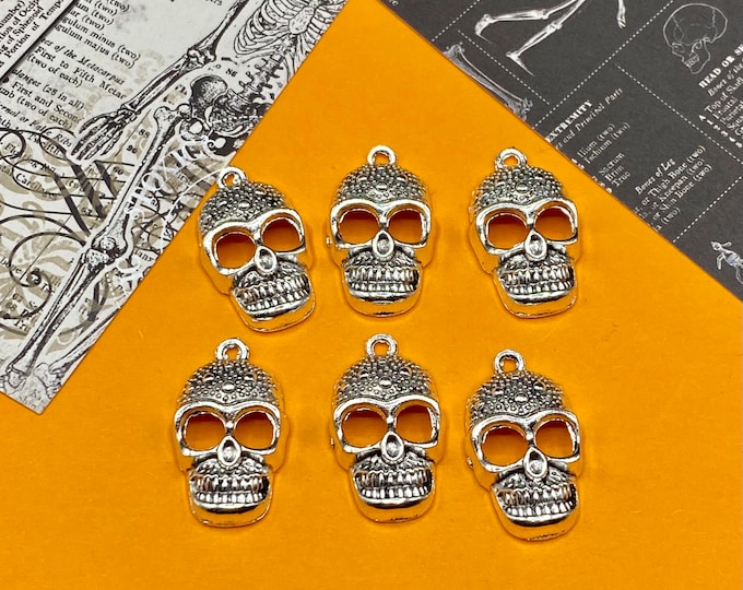 Halloween Large Silver Skull with Patten Detail Charm Pendent ~ Set of Six