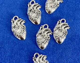 Silver Anatomical Human Heart Charm Pendants - Set of Six