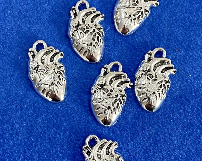 Silver Anatomical Human Heart Charm Pendants - Set of Six