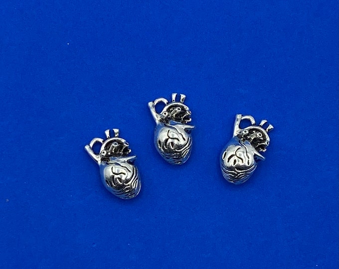 Silver Anatomical 3D Human Heart Charm Pendants - Set of Three