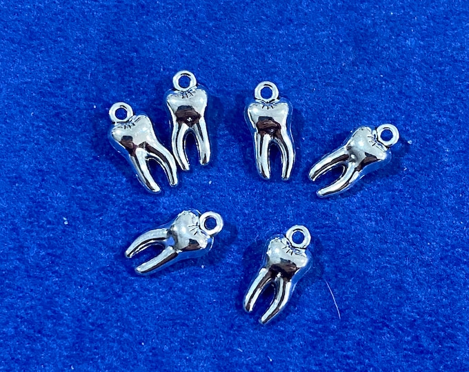 Silver Molar Back Teeth Dentist Charms and Pendants  - Set of Six