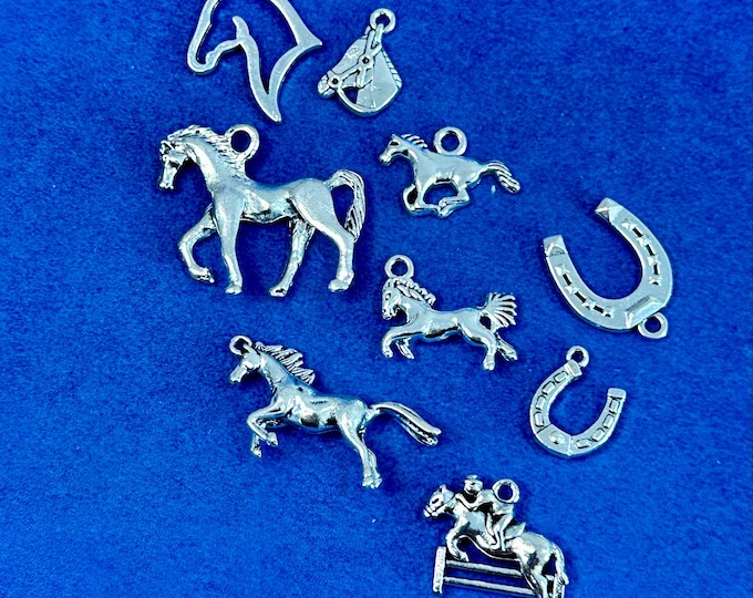 Silver Horse and Equestrian Set of Nine Assorted Charm Pendants