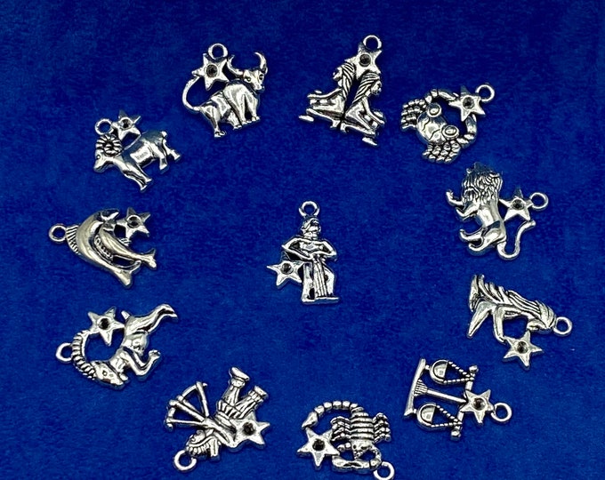 Silver Astrology Symbols A Set of Twelve Signs of the Zodiac Charm Pendants - Set of Twelve