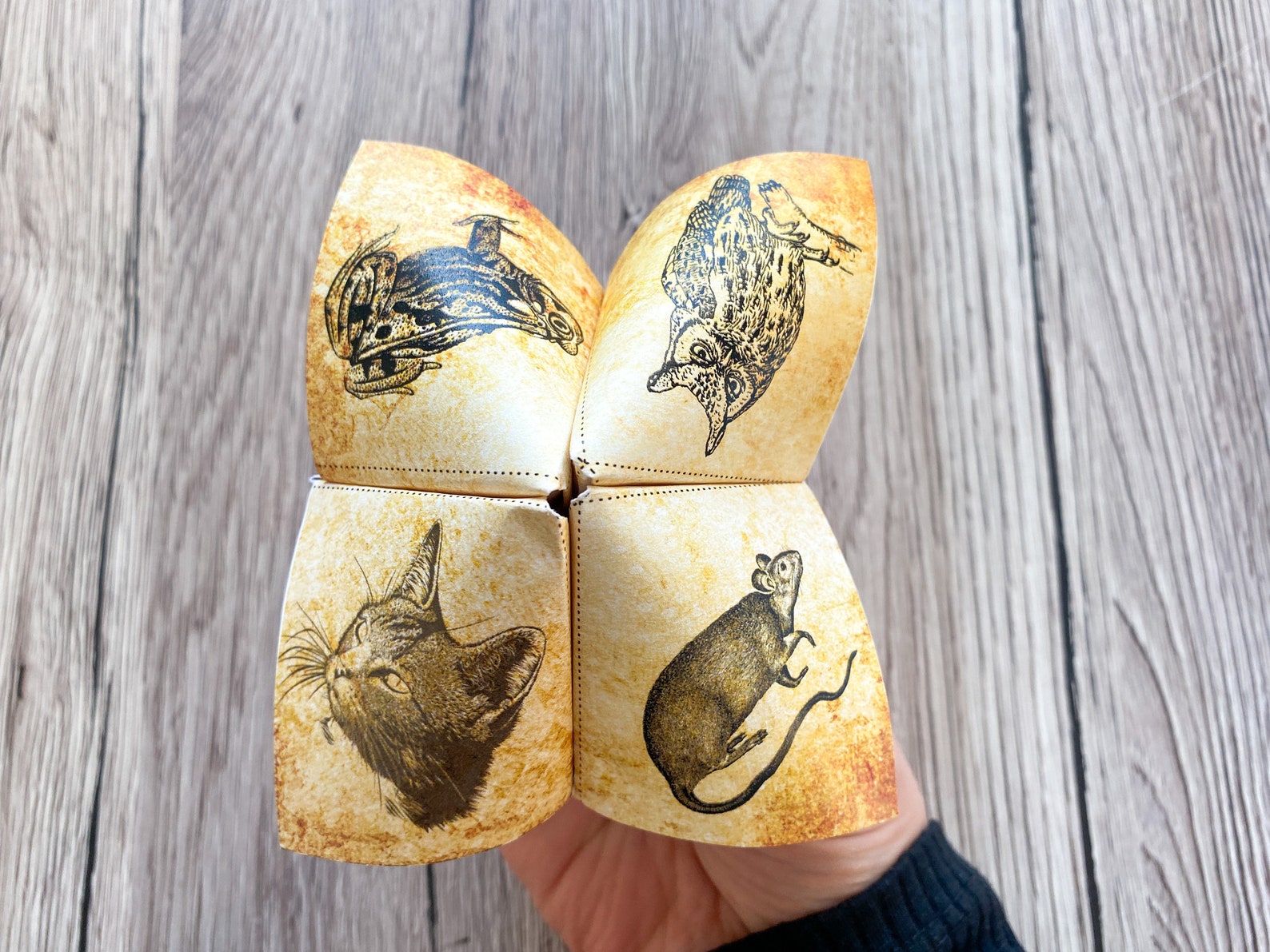 Sorting Hat Fortune Teller Cootie Catcher. PRINTABLE Origami Party Game ...