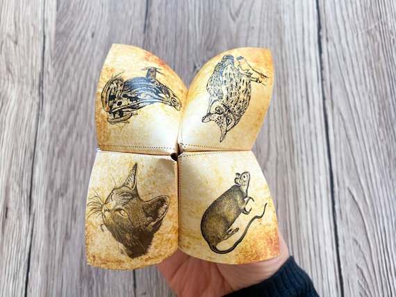 Sorting Hat Fortune Teller Cootie Catcher. PRINTABLE Origami - Etsy