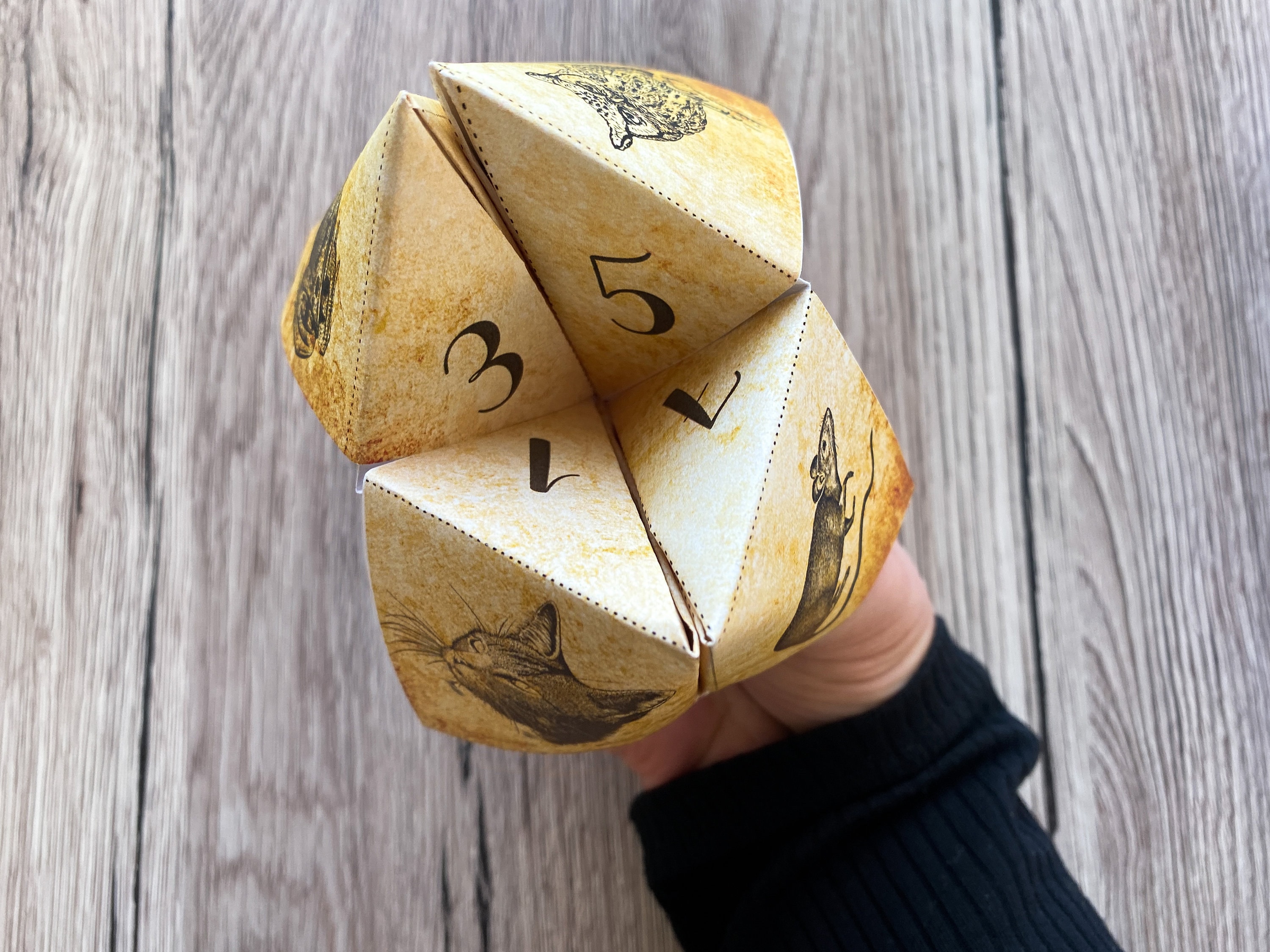 Sorting Hat Fortune Teller Cootie Catcher. PRINTABLE Origami Party Game