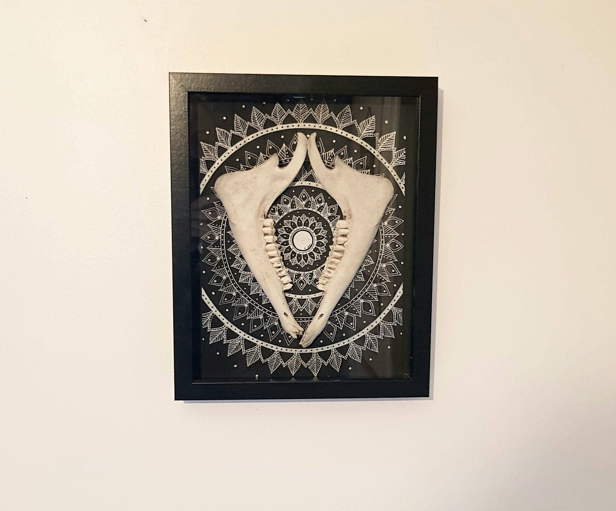 Cadre, Mâchoire de Sanglier, Mandala, Décoration Murale, Cabinet Curiosité.
