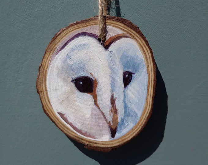 Barn Owl 1