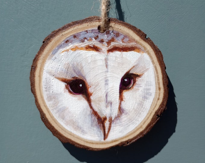 Barn Owl 3