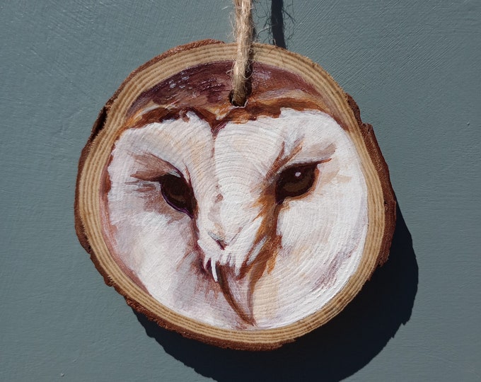 Barn Owl 2