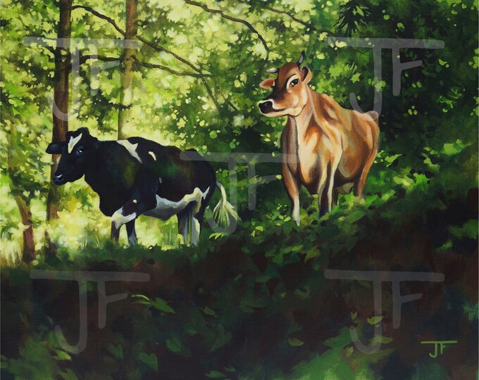 Mill Creek Cows