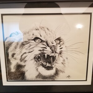 Dawna Mark &quot;Lynx Territorial Warning&quot; Original Charcoal Drawing