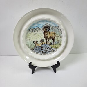 Op de afbeelding: Witte keramische plaat met een bruine, witte en blauwe illustratie van een dikhoornschaap in een berglandschap. De tekst "Bighorn Sheep Pride of the Rocky Mts. Alberta" is op de plaat gedrukt.