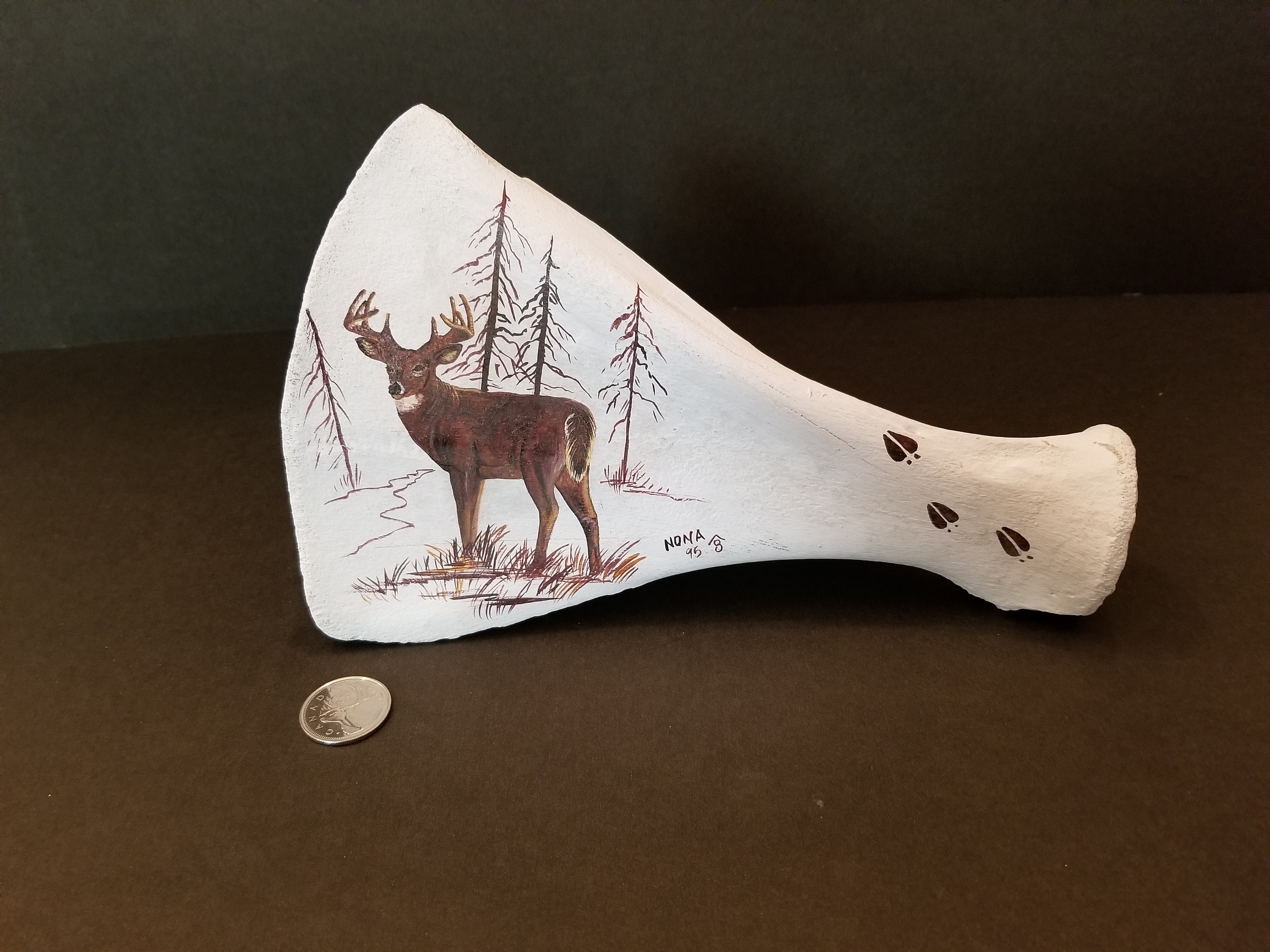 Deer Scapula