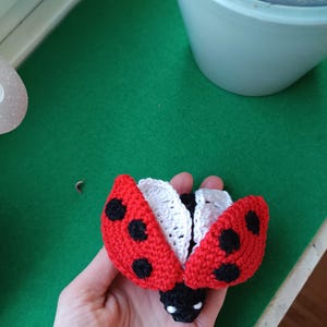 Könnte beinhalten: Ein gehäkeltes Marienkäfer-Spielzeug mit roten Flügeln, schwarzen Punkten und weißen Flügeln. Der Marienkäfer wird in einer Hand gehalten.