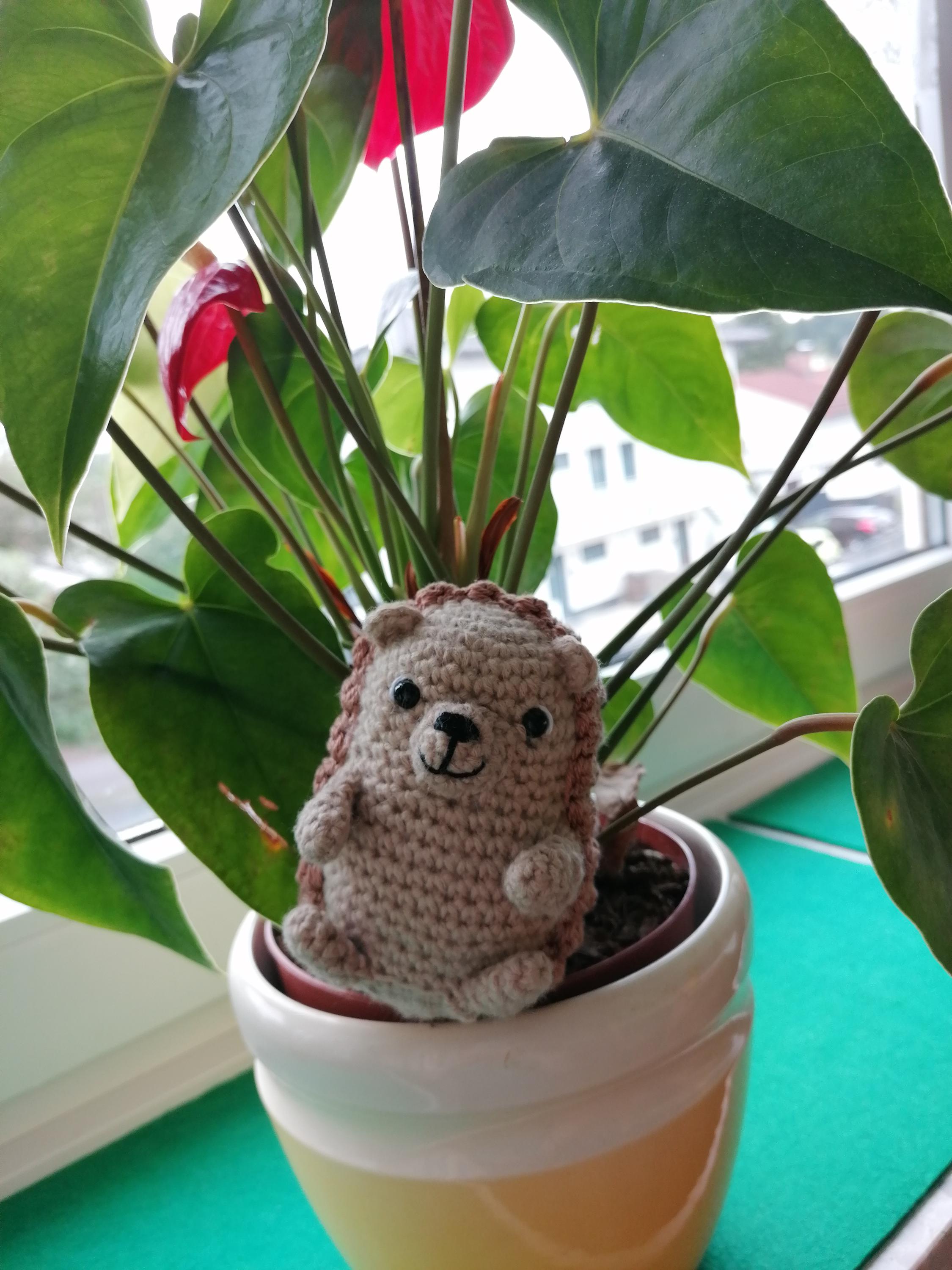 Peluche Parlante Riccio con Voce Chiara, Giocattolo Animato che Ripete le Parole per Bambini, Giocattoli di Peluche