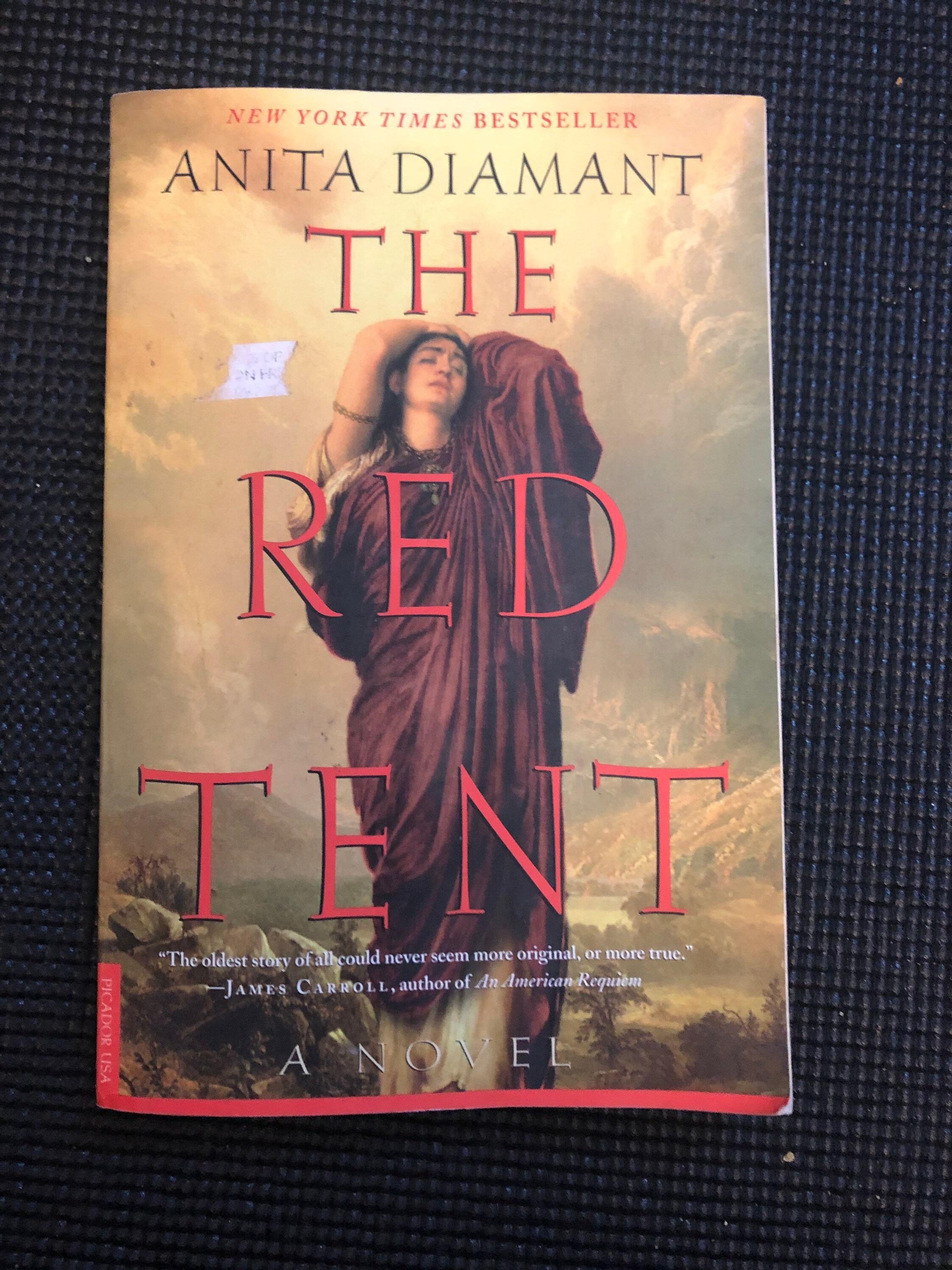 Paperback novel The Red Tent written by Anita Diamant New Etsy