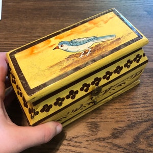 Bird Box Mimic - Avian Oddity Creepy Box Thrifted and Repurposed